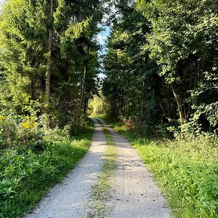 Mc Neues Und Sonniges Doppelhaus, 2 Mit Grossen Garten Und E-ladestation In Bei Graz Nyaraló