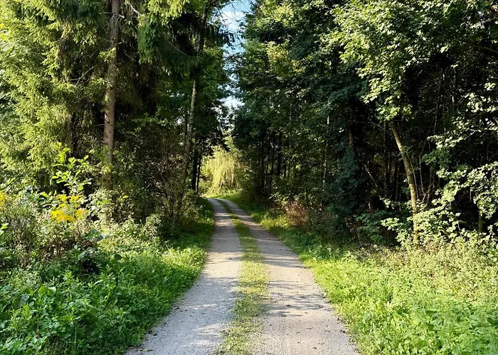 Mc Neues Und Sonniges Doppelhaus, 2 Mit Grossen Garten Und E-ladestation In Bei Graz Tatil Evi